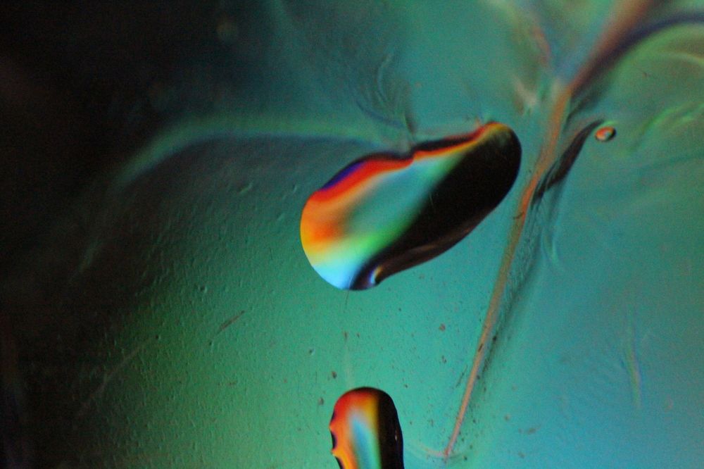 Photograph by Mahla Sahebi