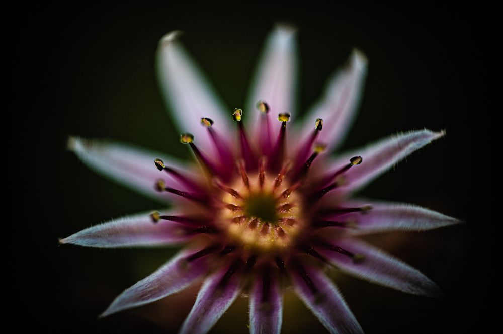 Photograph by Андрей Шишлов