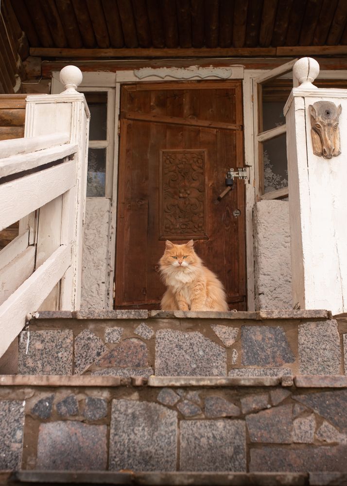 Photograph by Тамара Вотинцева