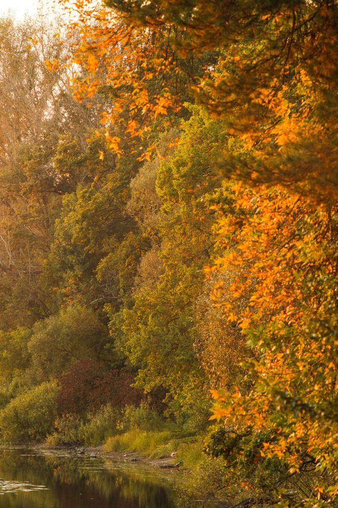 Photograph by Елена Квасова