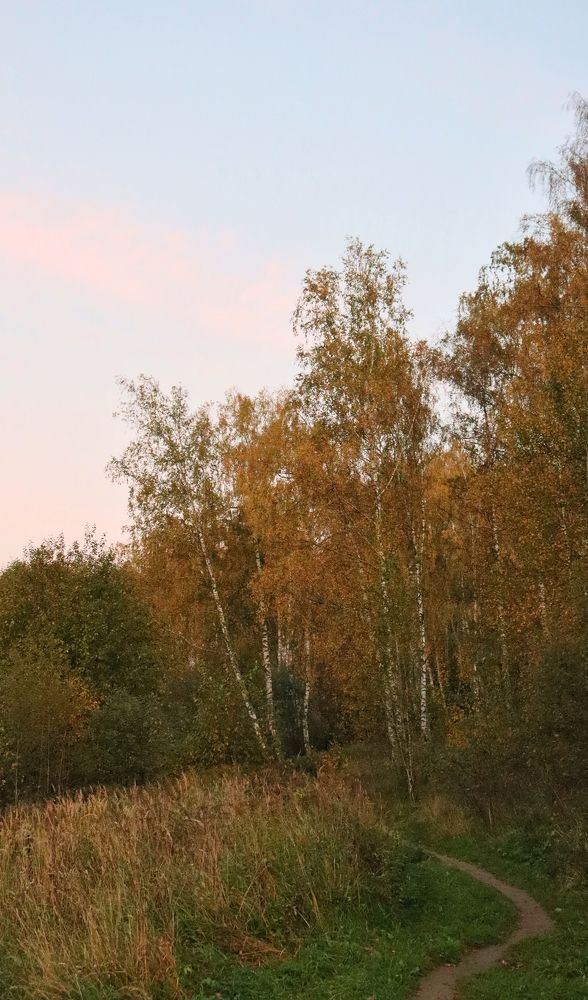 Фотография автора Ксанка Севостьянова