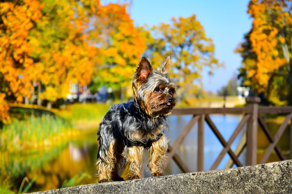 Photograph by Ivars Andrups