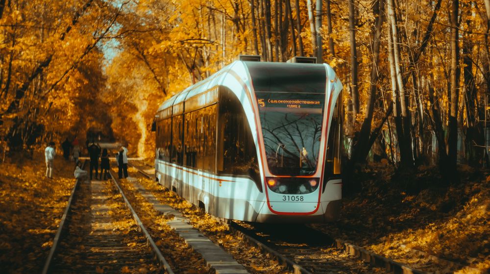 Photograph by Павел Быков