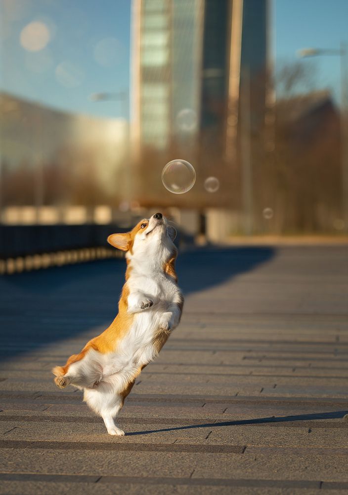 Photograph by Anna Oris