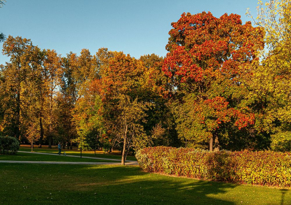 Photograph by Vladimir  Komarov