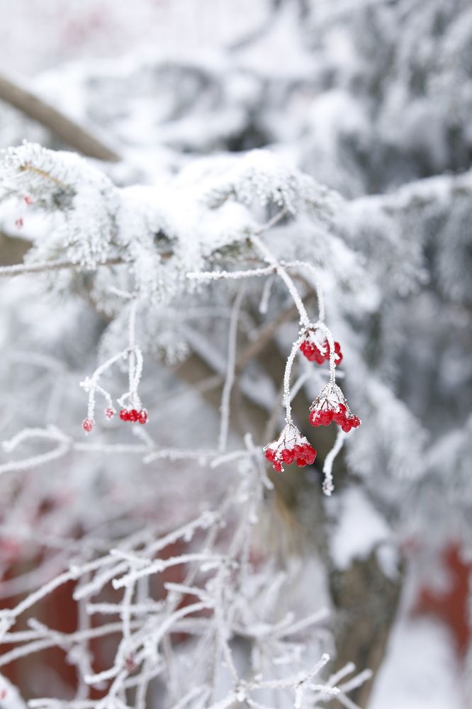 Photograph by Наталья Малышева