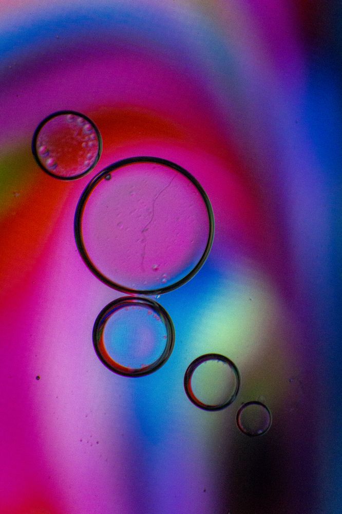 Photograph by Mahla Sahebi