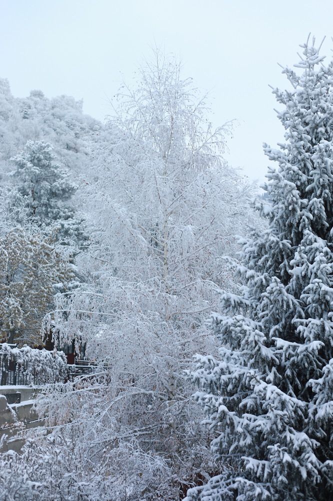 Photograph by Наталья Малышева