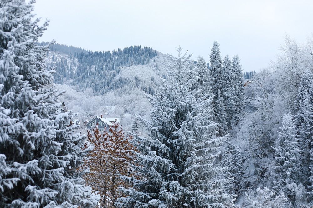 Photograph by Наталья Малышева