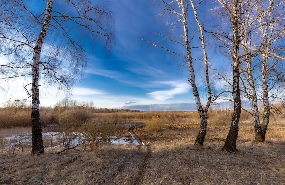 Photograph by Олег Григорьев