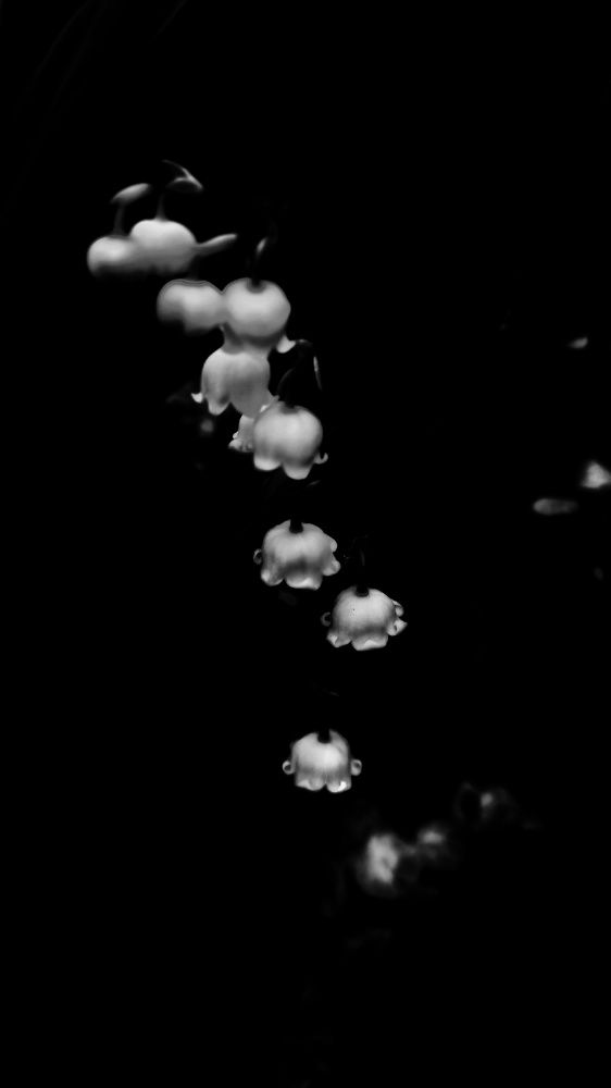 Фотография автора Евгения Зайцева