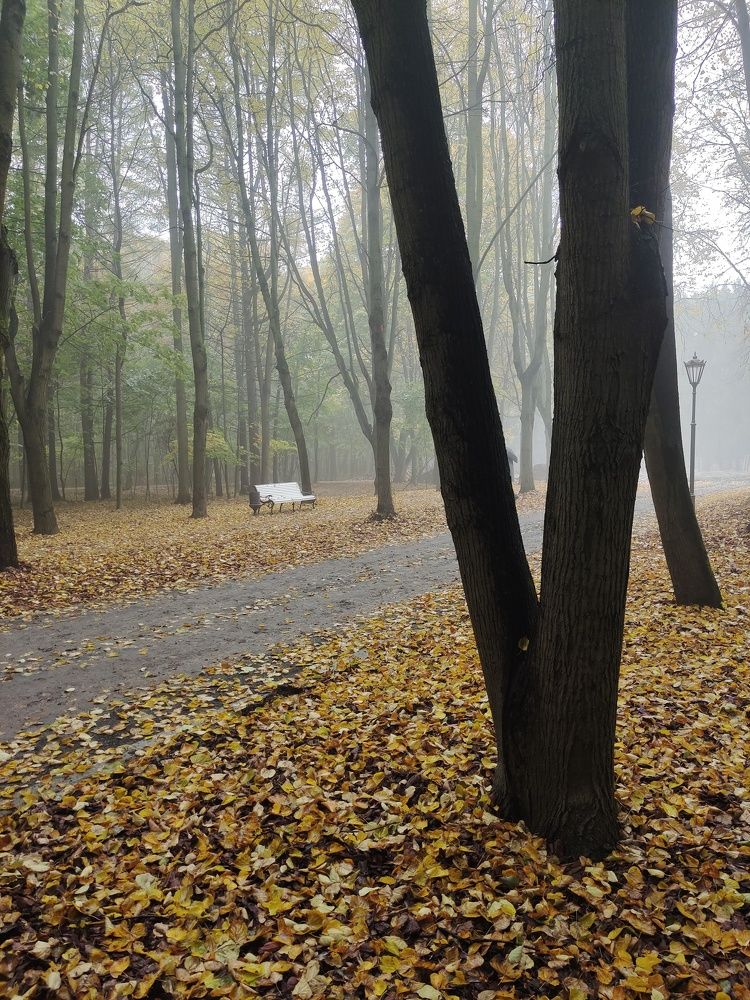 Photograph by Marina Green