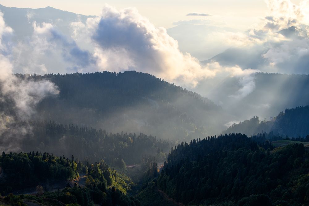 Photograph by Алексей Сальников