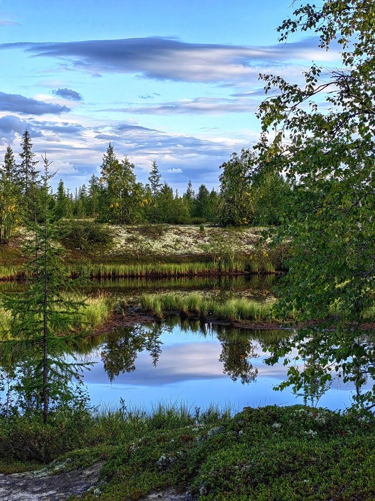 Photograph by Юлия Арестова