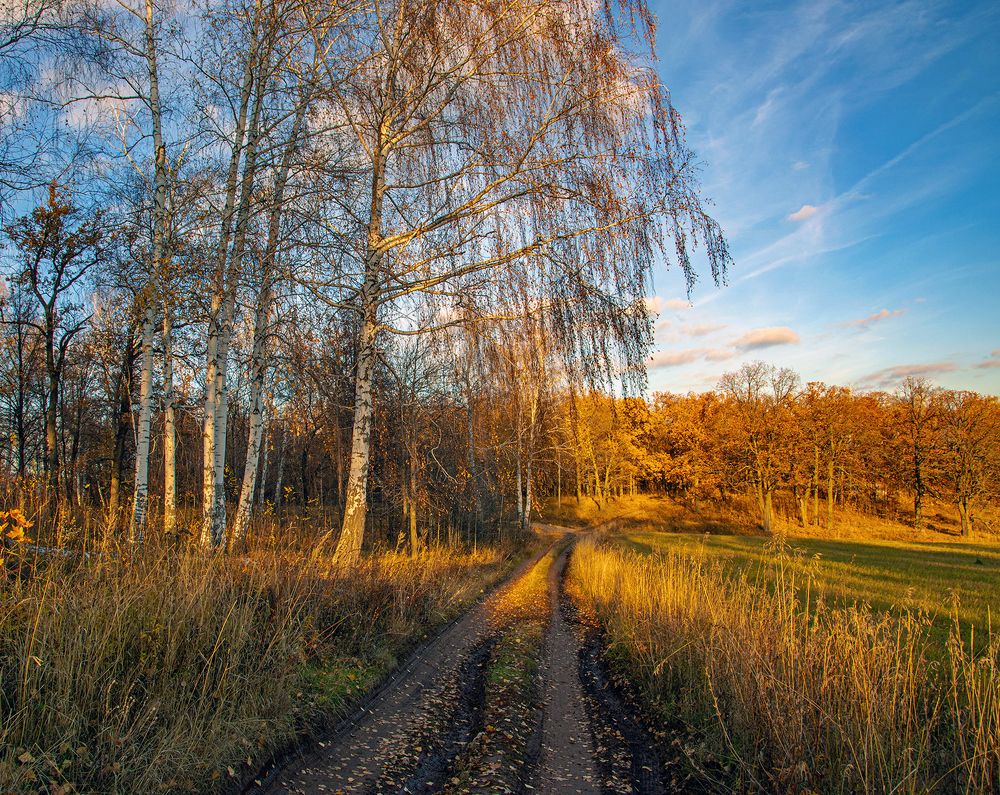 Photograph by Илфир Исламгазин