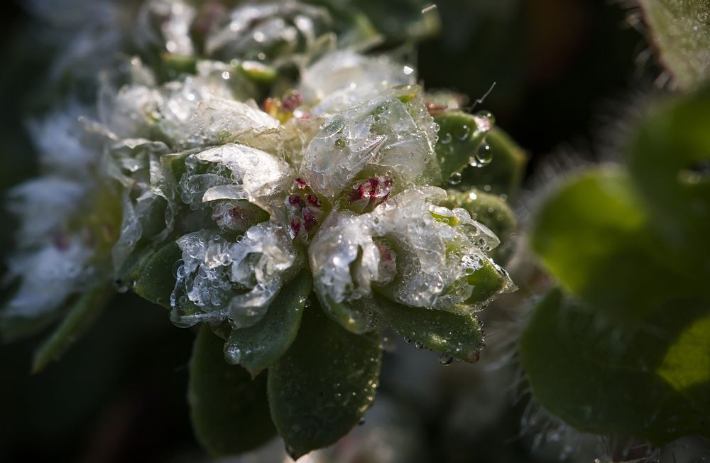 Photograph by Ольга Золототрубова