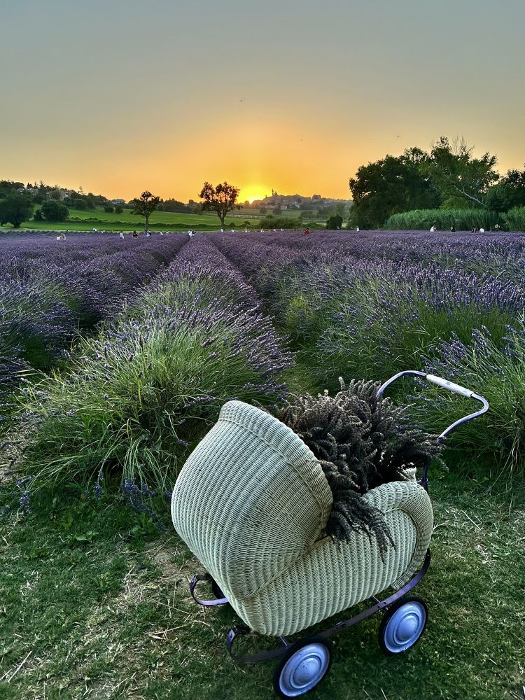 Photograph by Лариса Акинчиц