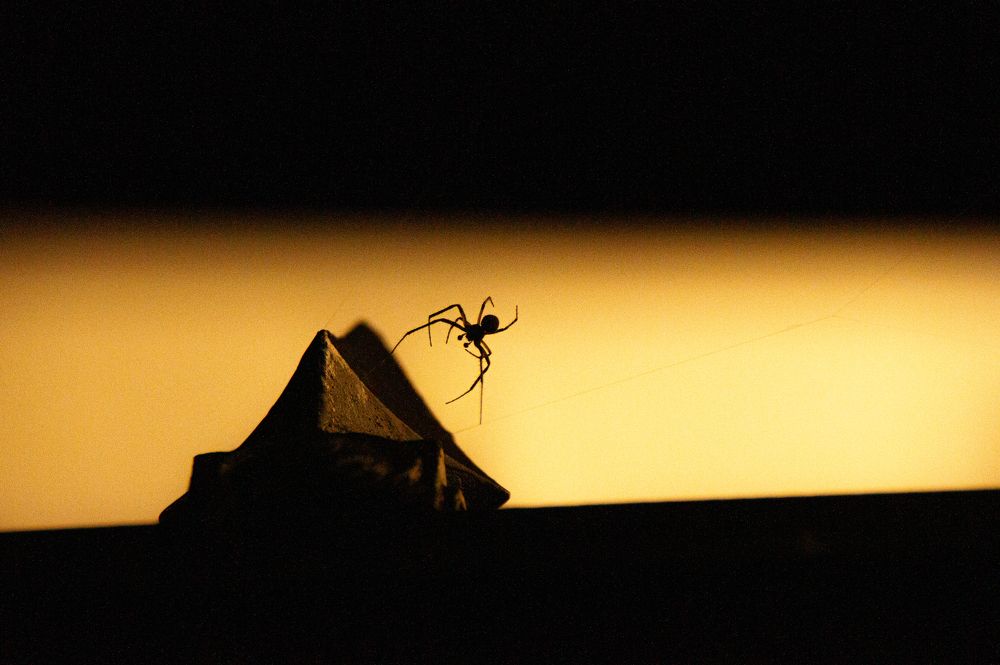 Photograph by Елизавета Корнилова