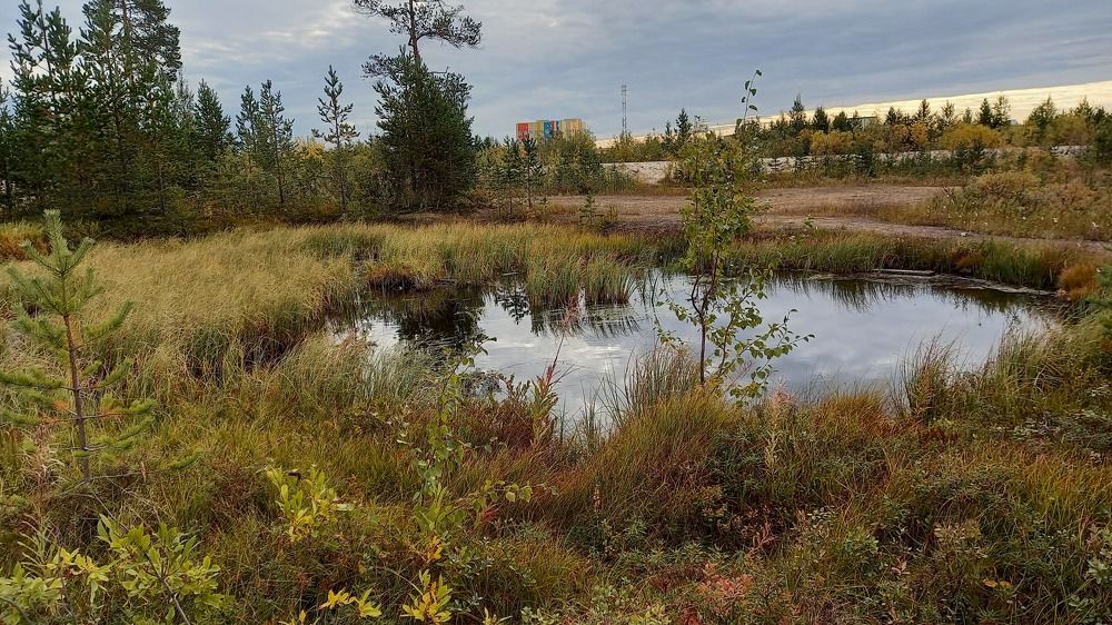 Фотография автора Евгения Зайцева