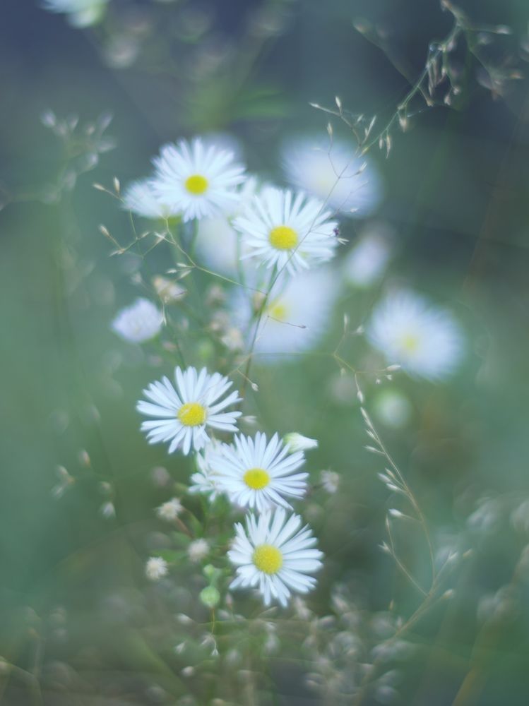 Photograph by Светлана Георкова