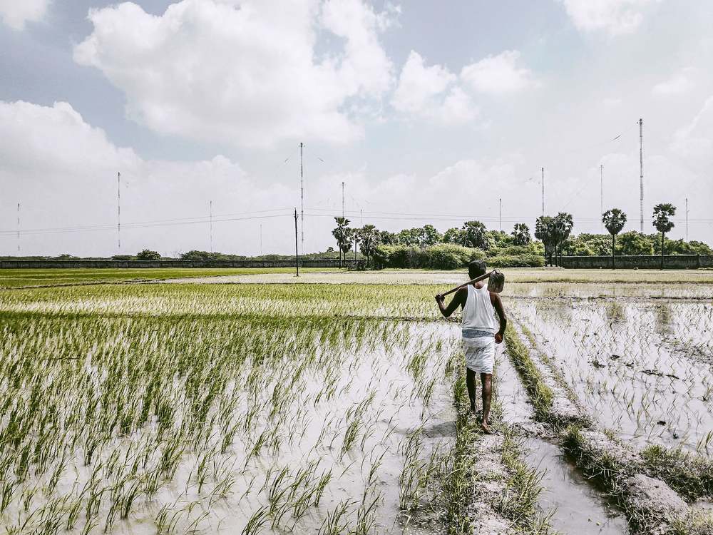 Photograph by Sam Johnraj