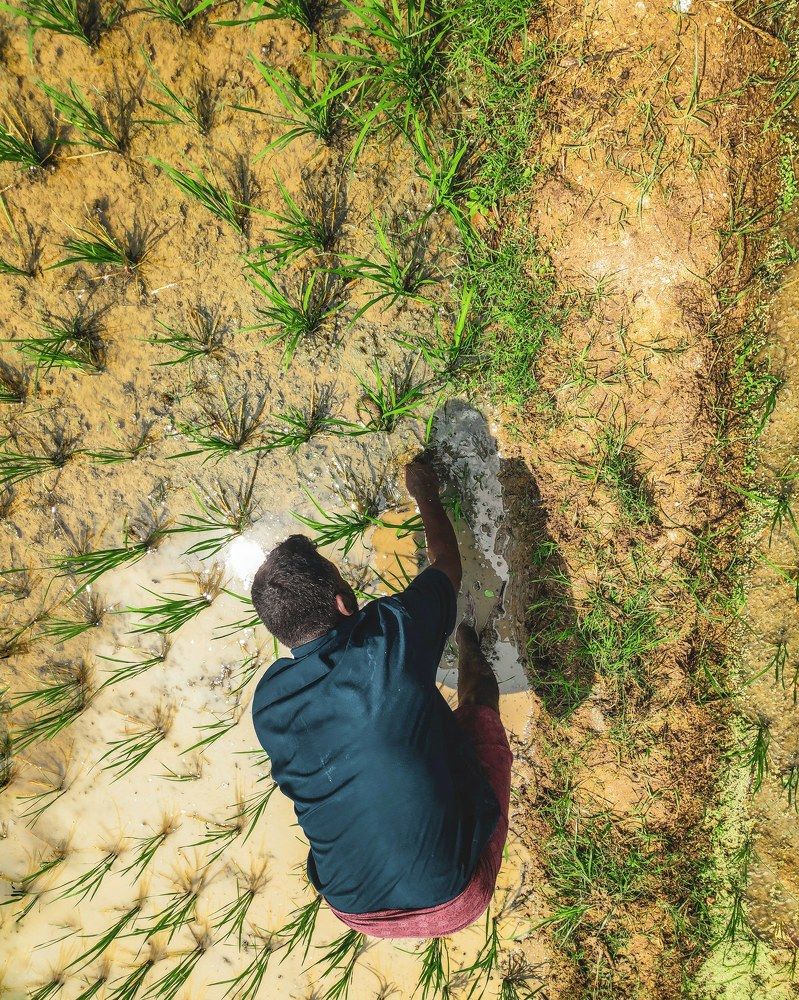 Photograph by Sam Johnraj