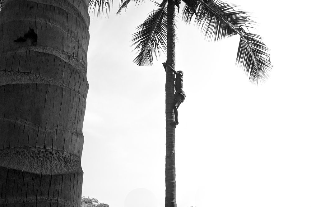 Photograph by Sam Johnraj