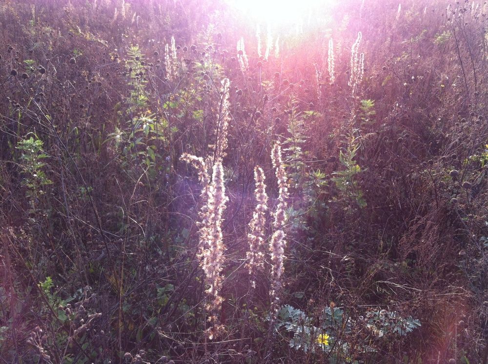 Photograph by Ирина Сбоева