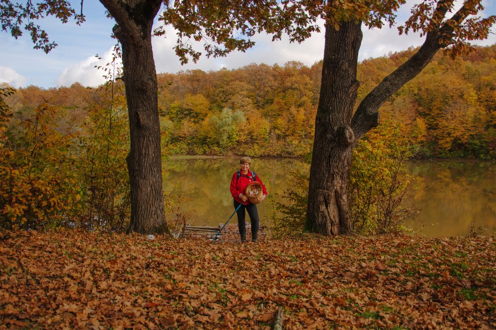 С корзинкой грибов