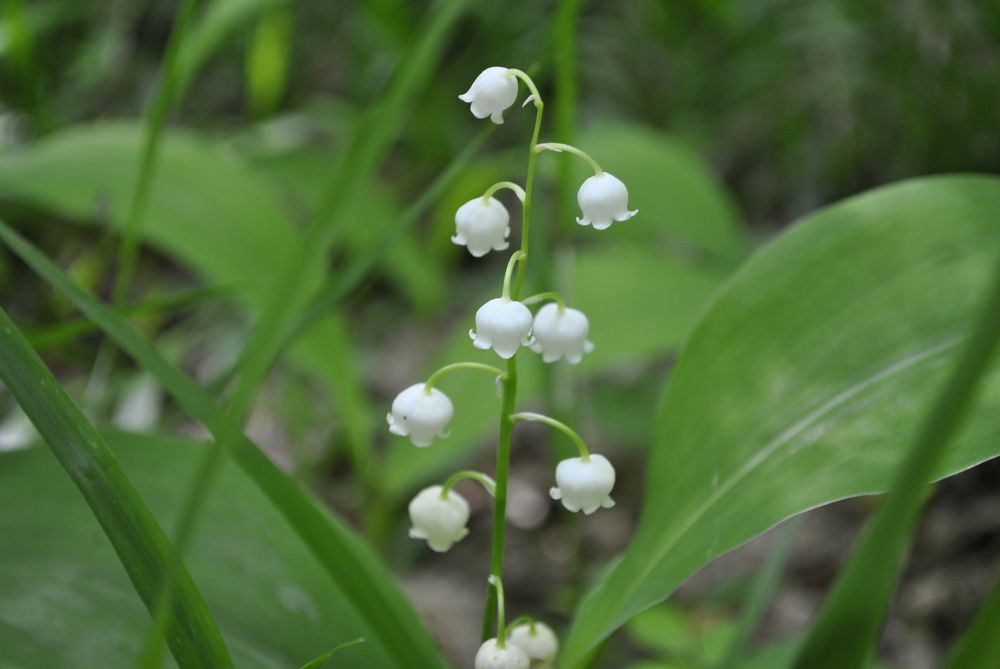 Photograph by Евгений Цыбульник