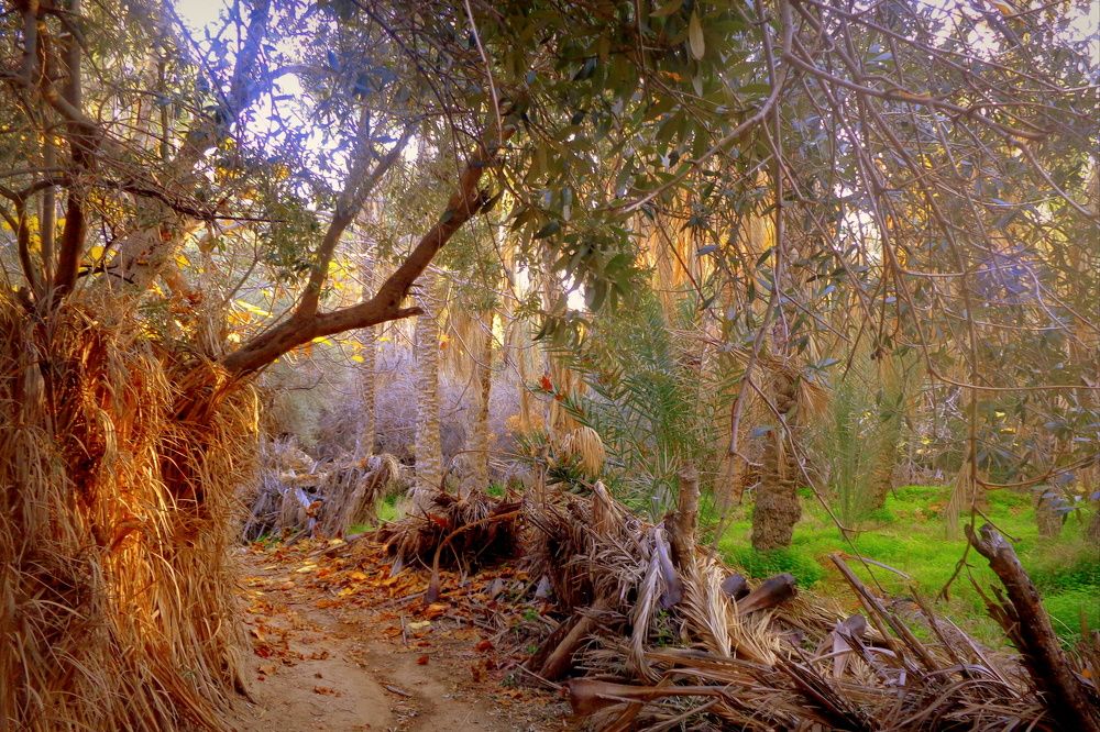 Photograph by Mostefaoui Sofiane