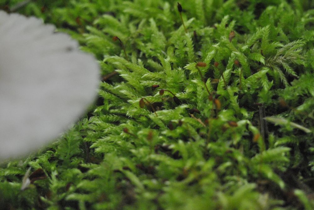 Photograph by Евгений Цыбульник