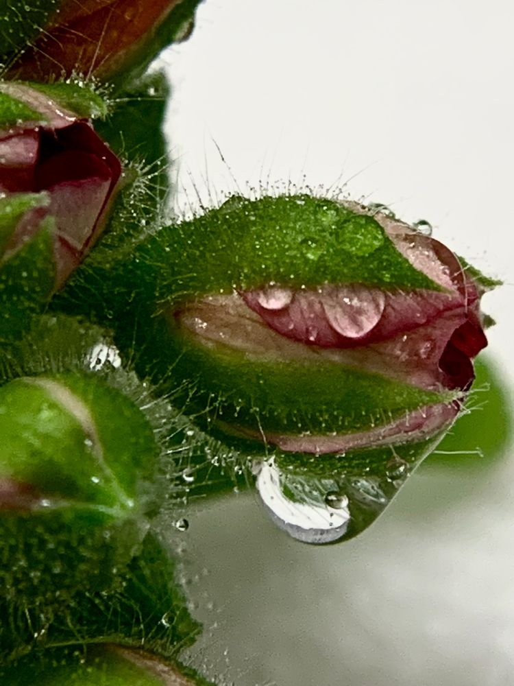 Photograph by Елена Макуха