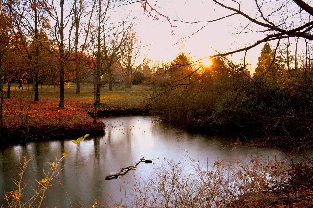 Photograph by Mostefaoui Sofiane