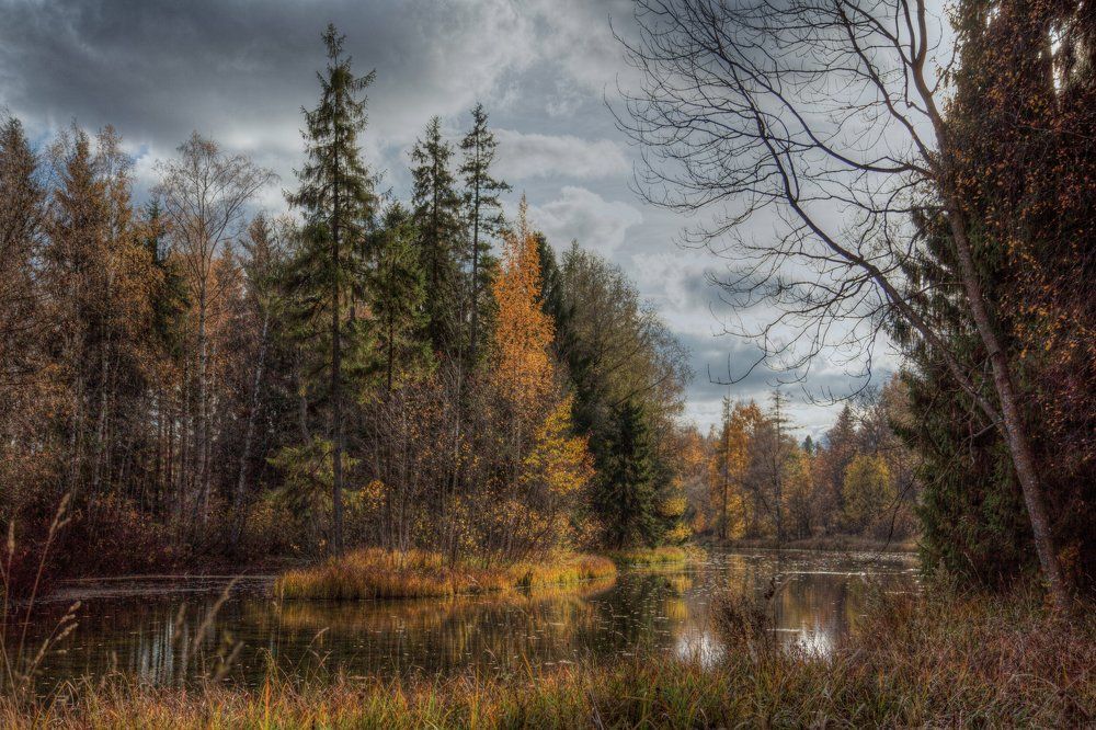 Photograph by Кривицкая Марина