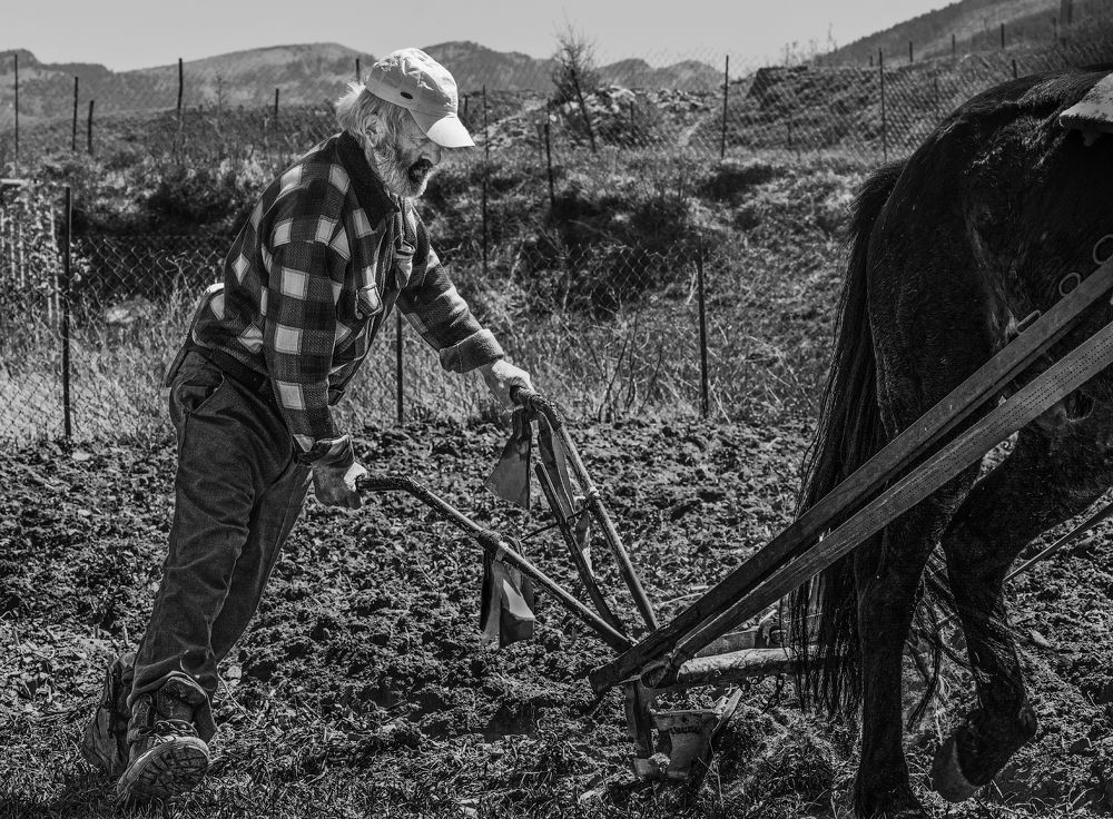 Photograph by Валерий Одинцов