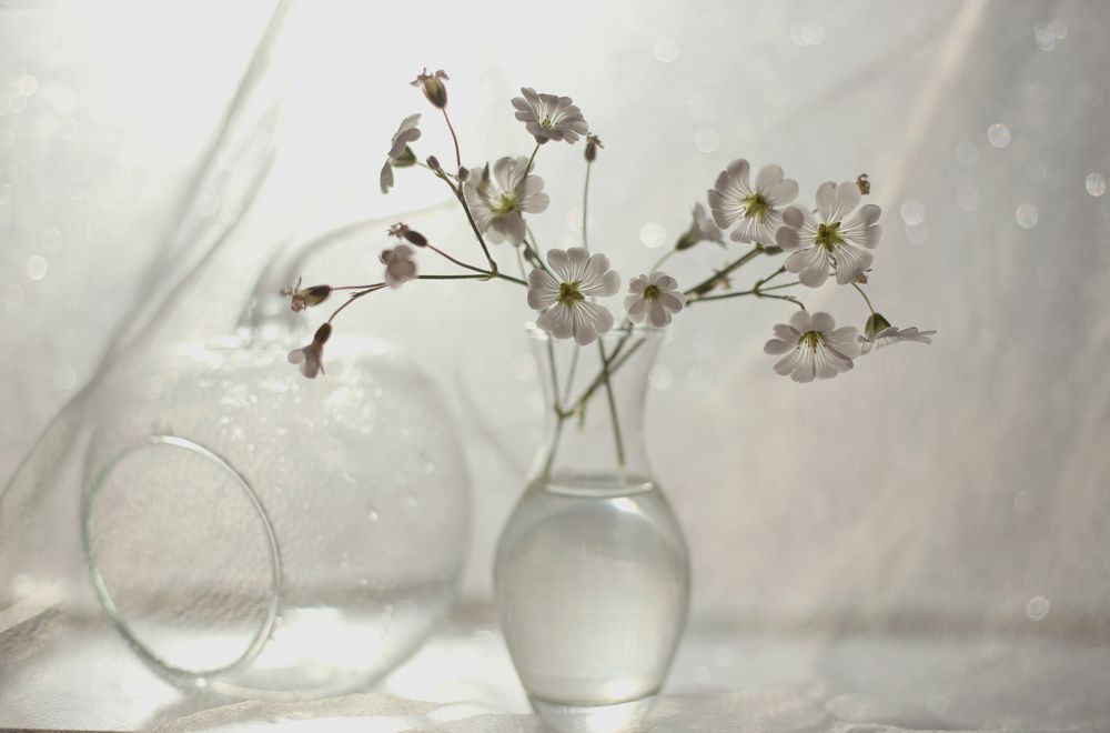 Нежность - капля дождя.