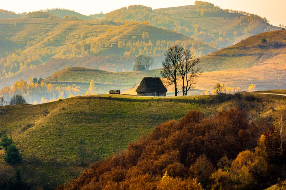 Photograph by levi bagy