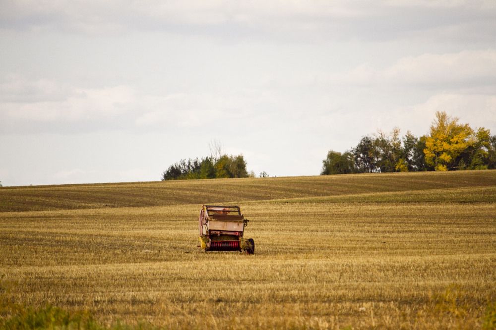 Photograph by Оксана Диткина