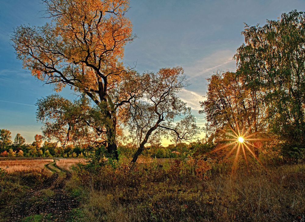 Photograph by Илфир Исламгазин