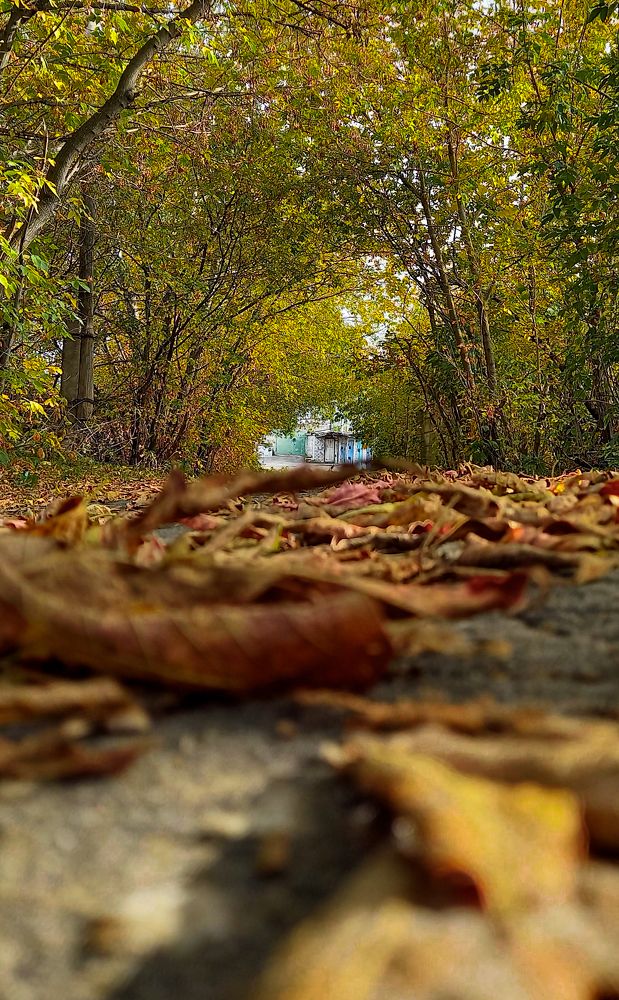 Тунель золота