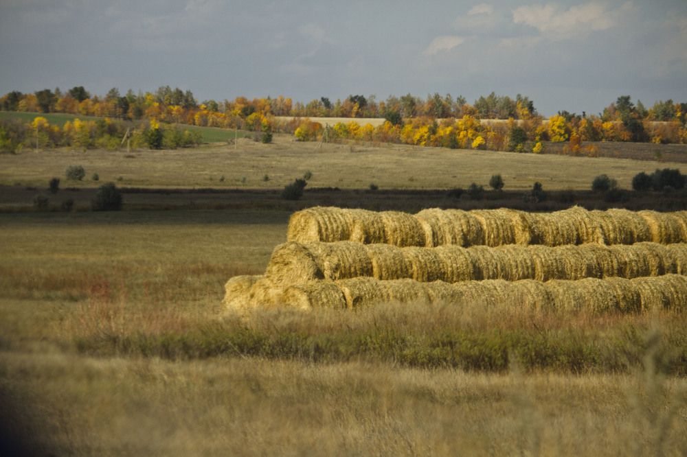 Photograph by Оксана Диткина