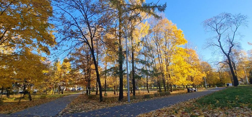 Фотография автора Анастасия Остапчук