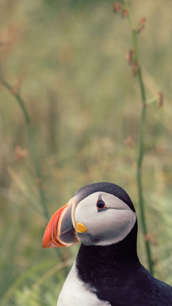 Photograph by Ektor Karyotakis