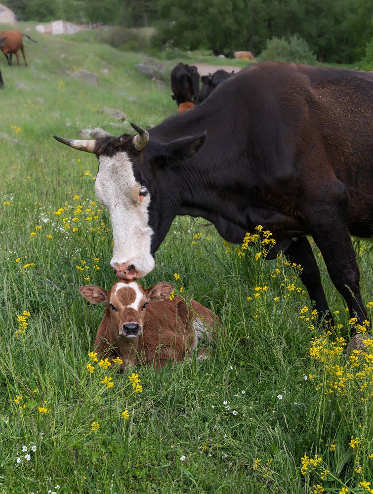 Photograph by Валерий Одинцов