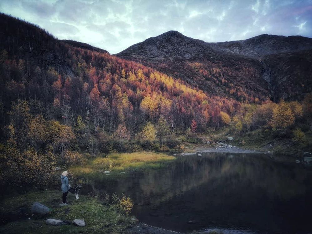Фотография автора Ольга Сорокина