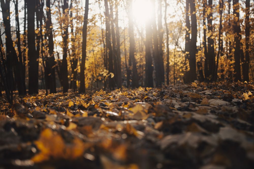 Photograph by Евгений Адуцкевич