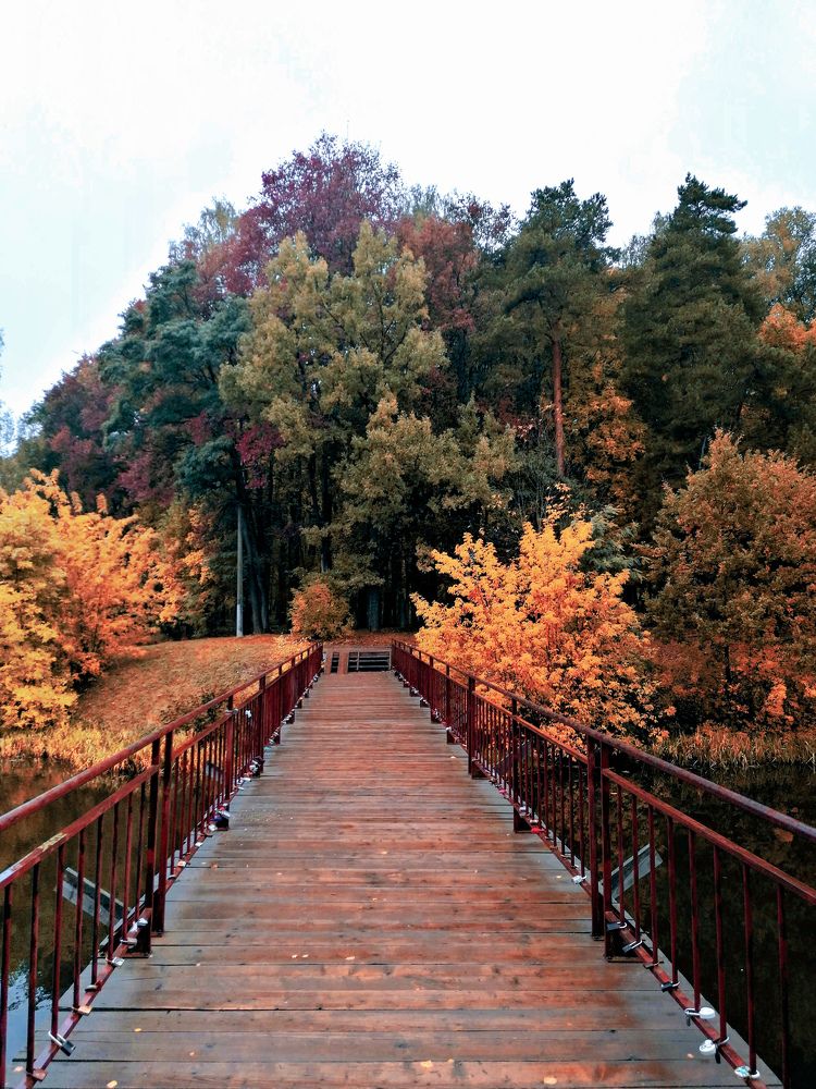 Photograph by Михаил Бородкин