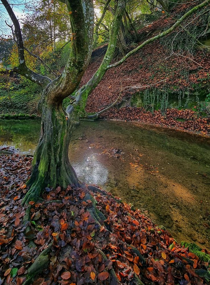 Photograph by Krisztina Regina Tagscherer