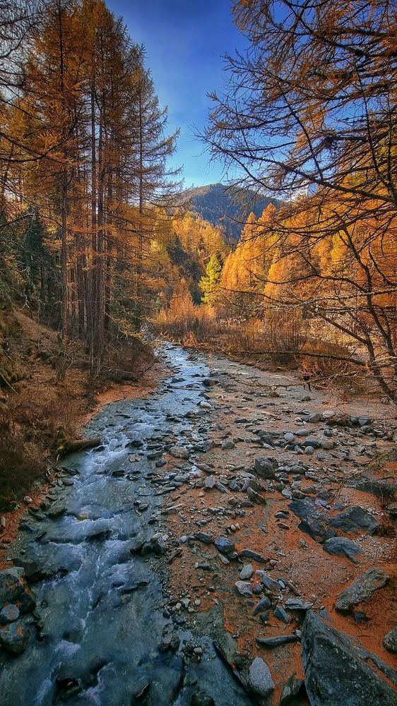 Photograph by Krisztina Regina Tagscherer